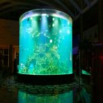 China persoonlike goedkoop super groot ronde pmma glas akwariums duidelike silinder akriel vis tenks