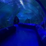 180 of 90 grade Akrielpanele vir Aquarium Tunnel