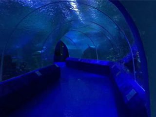 180 of 90 grade Akrielpanele vir Aquarium Tunnel