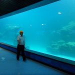 Gegooi muur UV akriel paneel vir akwarium, oceanarium
